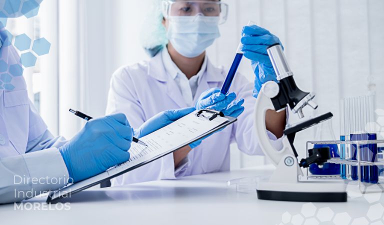 Investigación y Ciencia